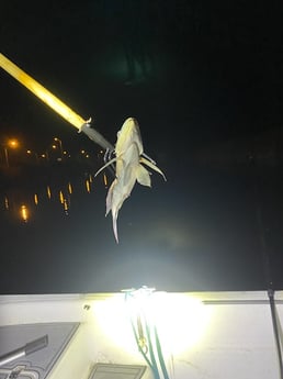 Fishing in Pembroke Pines, Florida