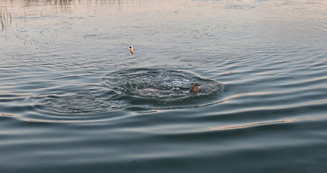 Fishing in Charleston, South Carolina
