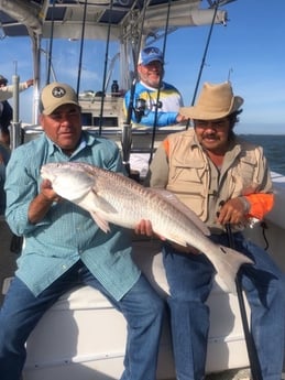 Redfish Fishing in Galveston, Texas