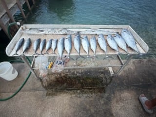 Fishing in Riviera Beach, Florida