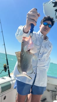 Fishing in Miami, Florida