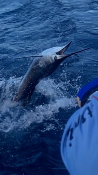 Fishing in Montauk, New York