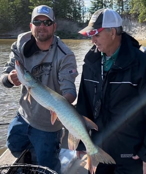 Muskie fishing in Knoxville, Tennessee