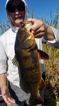 Peacock Bass fishing in Fort Lauderdale, Florida