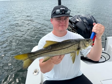 Fishing in St. Petersburg, Florida