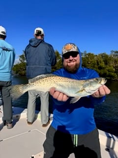 Fishing in Sarasota, Florida