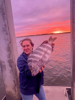 Sheepshead fishing in Johns Island, South Carolina