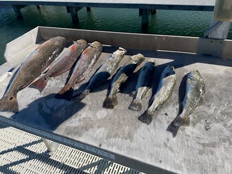 Fishing in Corpus Christi, Texas