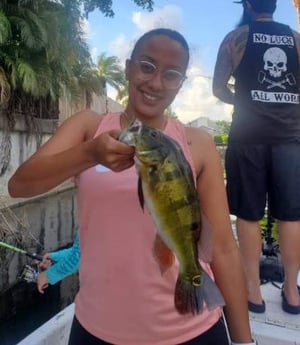 Peacock Bass fishing in Delray Beach, Florida