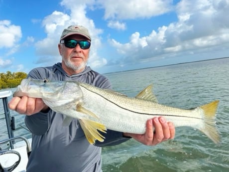 Snook Fishing in