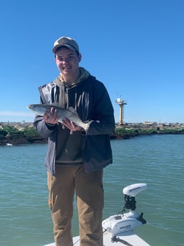Speckled Trout Fishing in Galveston, Texas
