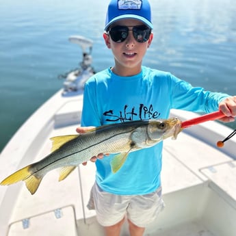 Snook Fishing in Cape Coral, Florida