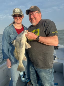 Black Drum Fishing in Corpus Christi, Texas