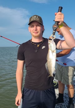 Speckled Trout / Spotted Seatrout fishing in Palacios, Texas