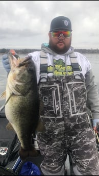 Largemouth Bass Fishing in Alba, Texas