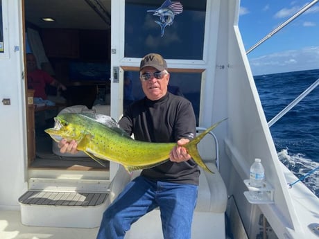 Mahi Mahi Fishing in Pompano Beach, Florida