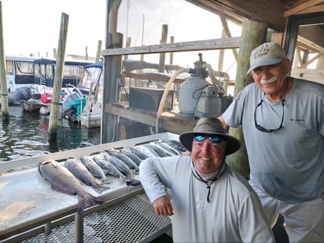Black Drum, Redfish, Speckled Trout / Spotted Seatrout Fishing in Crystal River, Florida