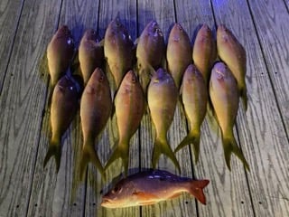 Fishing in Coconut Creek, Florida