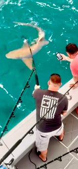 Fishing in Miami Beach, Florida