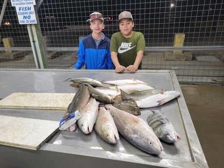 Black Drum, Flounder, Redfish, Speckled Trout Fishing in Matagorda, Texas