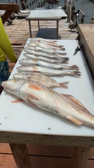 Fishing in Galveston, Texas