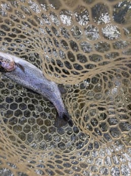 Fishing in Broken Bow, Oklahoma