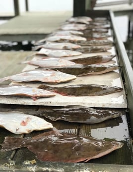 Fishing in Freeport, Texas