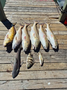 Fishing in Galveston, Texas