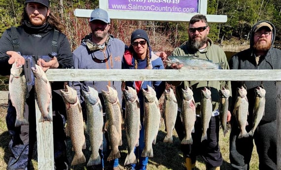 Brown Trout Fishing in Verona Beach, New York