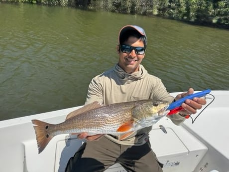 Fishing in St. Petersburg, Florida