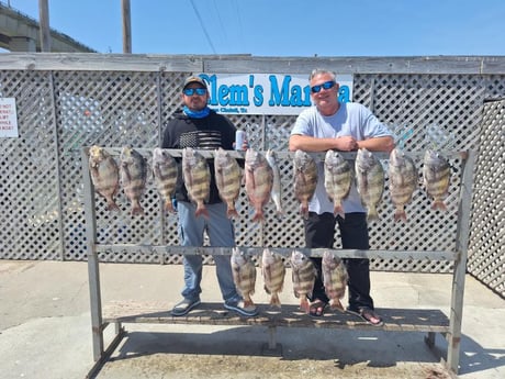 Fishing in Corpus Christi, Texas