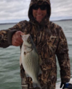 Hybrid Striped Bass Fishing in Runaway Bay, Texas