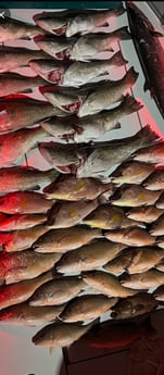 Fishing in Tierra Verde, Florida