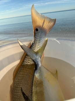 Fishing in Santa Rosa Beach, Florida