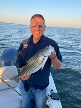 Striped Bass fishing in Pottsboro, Texas