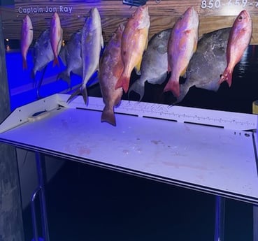 Fishing in Destin, Florida