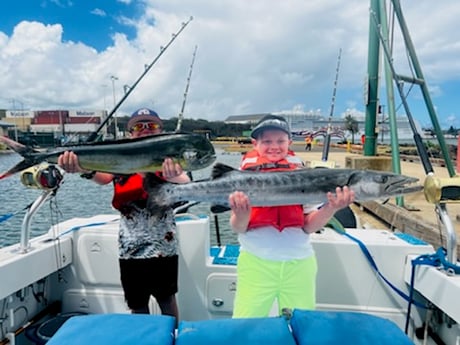 Barracuda, Mahi Mahi / Dorado fishing in Kapaʻa, Hawaii