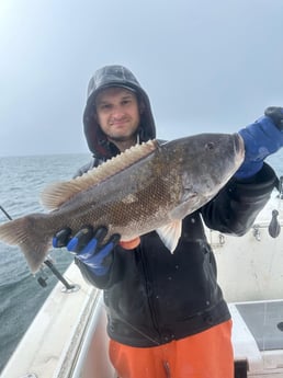 Fishing in Westport, Massachusetts