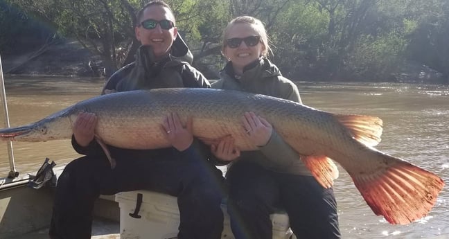 Alligator Gar fishing in Corsicana, Texas