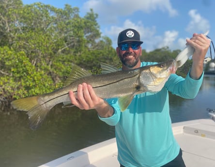 Snook Fishing in Sarasota, Florida