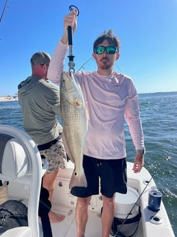 Fishing in Orange Beach, Alabama