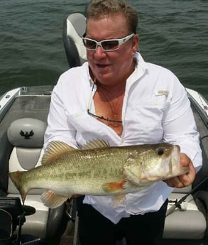 Largemouth Bass fishing in Zapata, Texas