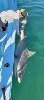 Fishing in Key West, Florida