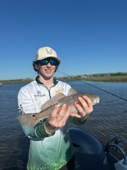 Fishing in Mount Pleasant, South Carolina