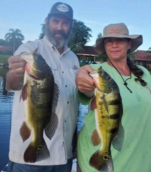 Peacock Bass fishing in Delray Beach, Florida