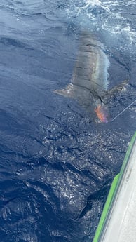 Fishing in Atlantic Beach, North Carolina