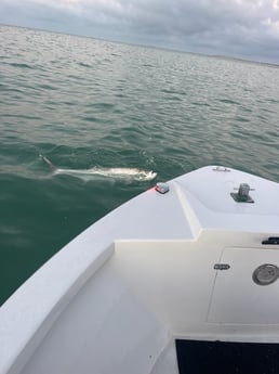 Fishing in Rock Hall, Maryland