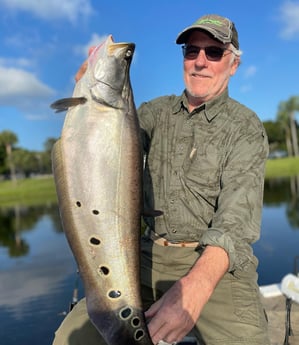 Clown Knifefish Fishing in Delray Beach, Florida
