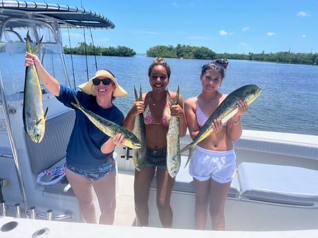 Mahi Mahi Fishing in