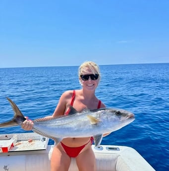 Amberjack Fishing in Mount Pleasant, South Carolina